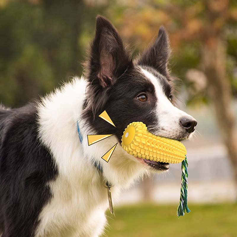 Corn Shape Squeaky Dog Toy Dur - Corn Dog Stick 评论和价格